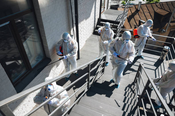 Best Mold Damage Restoration  in Birdsboro, PA