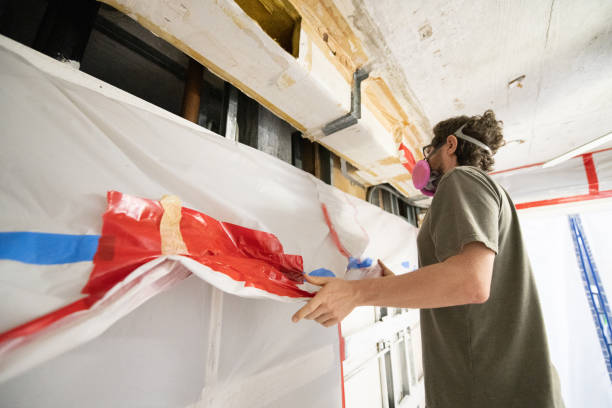  Birdsboro, PA Mold Removal Pros